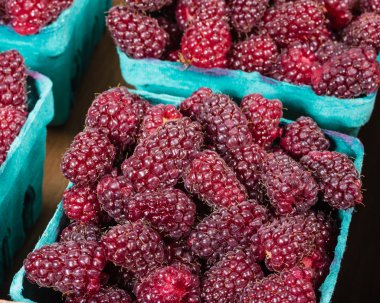 piyasa yönü kutularında taze tayberries