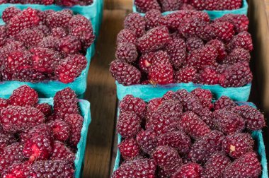 piyasa yönü kutularında taze tayberries