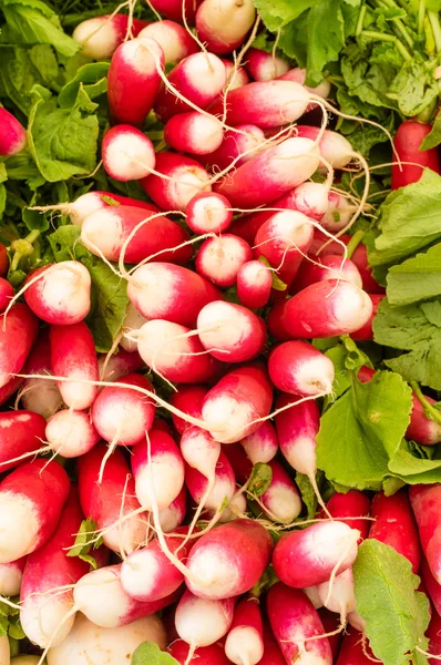 Radishes on display at the farmer's market — Stock Photo, Image