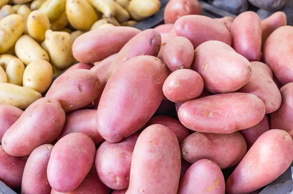 Nieuwe gewas rode aardappelen op markt — Stockfoto