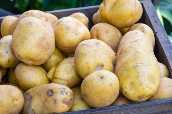 New crop white potatoes at market — Stock Photo, Image