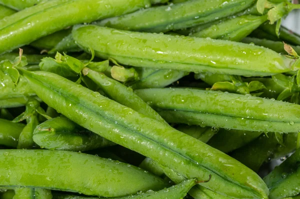 新鲜采摘豌豆的特写 — 图库照片