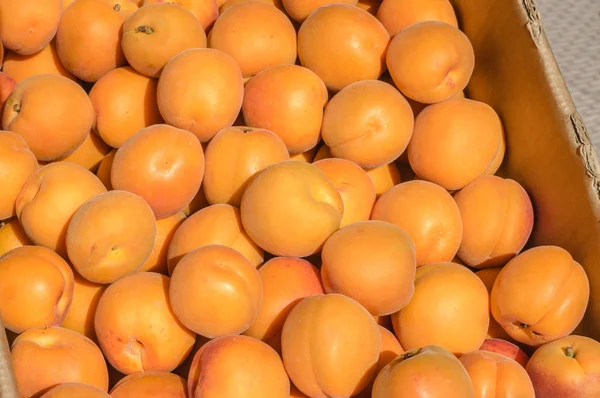 Färska aprikoser på marknaden — Stockfoto