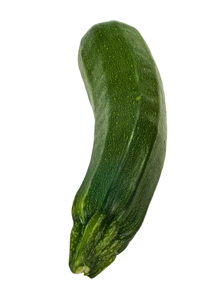 Zucchine squash izolované na bílém — Stock fotografie