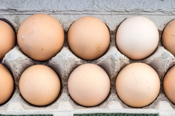 Huevos ecológicos de color marrón fresco en el mercado — Foto de Stock