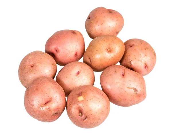 Röd potatis isolerad på vit — Stockfoto