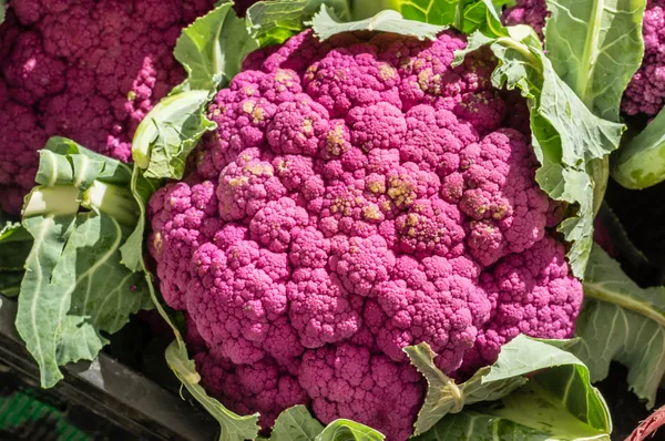 Couve-flor vermelha em exposição no mercado — Fotografia de Stock