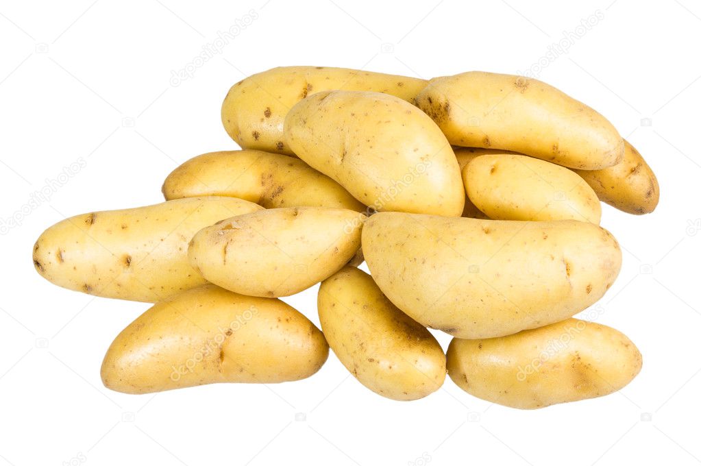 White fingerling potatoes isolated on white