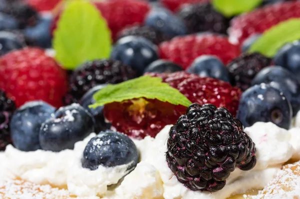 Closeup of fresh berry tart with cream — Stock Photo, Image