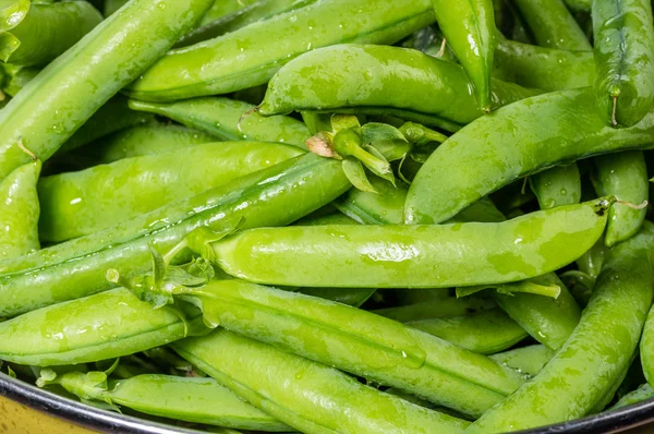 Fresh green pea pods in a bowl — Stock Photo, Image