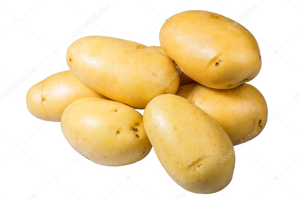 White potatoes fresh picked isolated