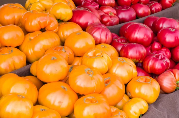 Tomates reliquia en exhibición en el mercado — Stok fotoğraf