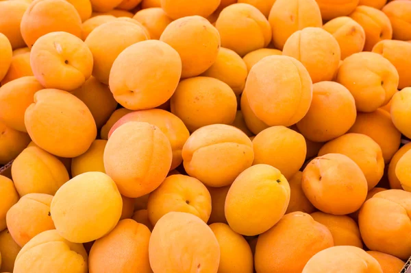 Bright yellow apricots on display — Stock Photo, Image