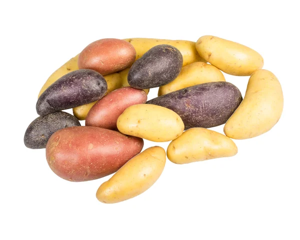 Fingerling potatoes of several colors isolated — Stock Photo, Image