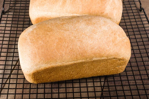 Zwei Laibe frisch gebackenes Brot — Stockfoto