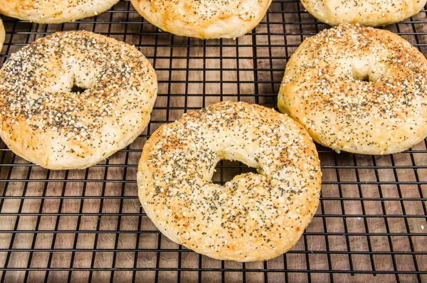 Bagels just baked on racks — Stock Photo, Image
