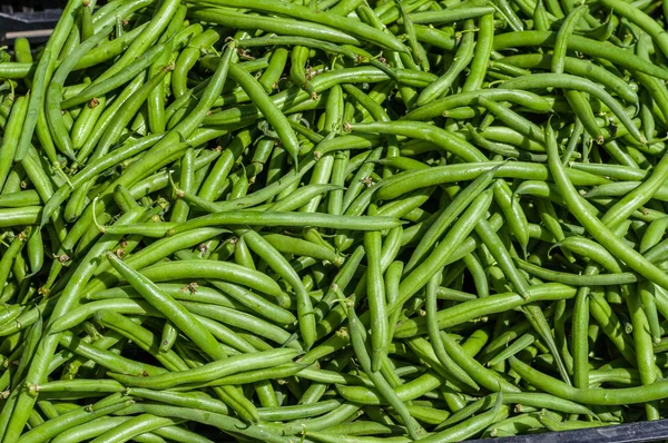 Feijão verde em exposição no mercado dos agricultores — Fotografia de Stock