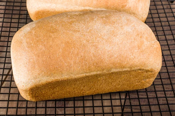 Two loaves of fresh baked bread — Stock Photo, Image