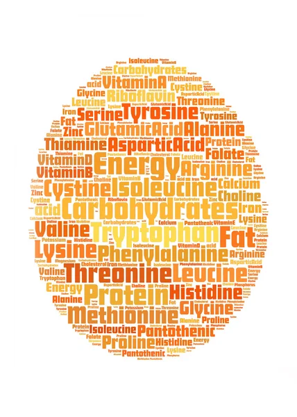 Forma de ovo com informações nutricionais-texto gráficos e arranjo conc — Fotografia de Stock