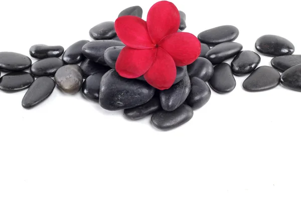 Zen stenen met rode frangipani bloem en tekst ruimte Stockfoto