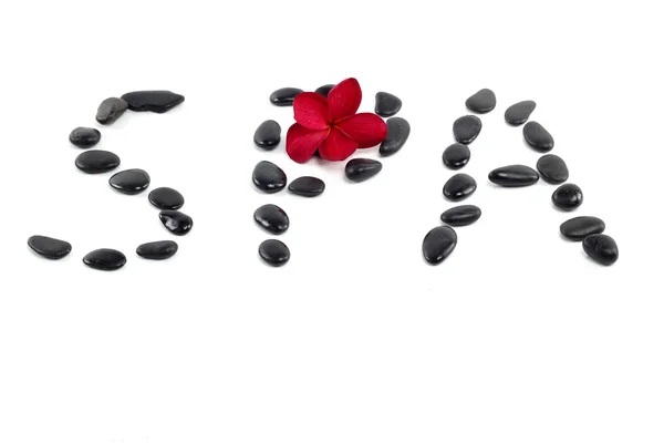 Zen stones with red frangipani flower and spa text on white — Stock Photo, Image