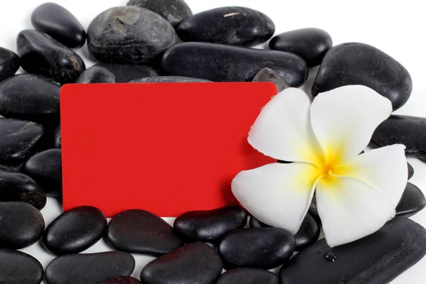 Piedras Zen y flor de frangipani blanco con isol tarjeta de espacio de texto —  Fotos de Stock