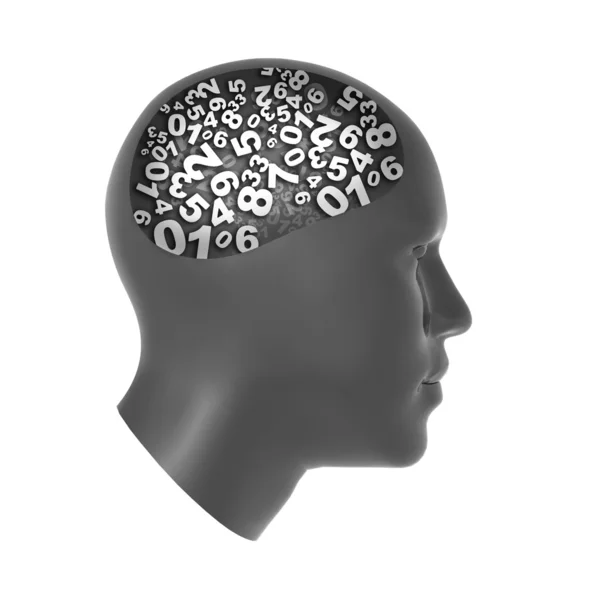 Calculate in Brain — Stock Photo, Image