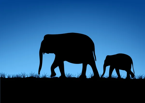 Resumo da família dos elefantes — Fotografia de Stock