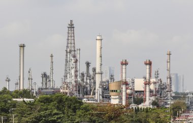 gökyüzü ile petrolume bitki