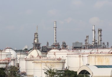 gökyüzü ile petrolume bitki