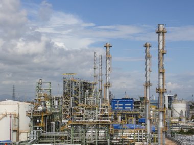 Mavi gökyüzü ile bitki, güç ve yardımcı programı