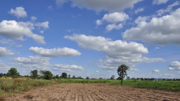 Cena da natureza com céu azul — Vídeo de Stock