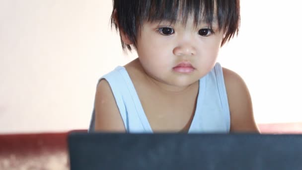 Baby with computer — Stock Video