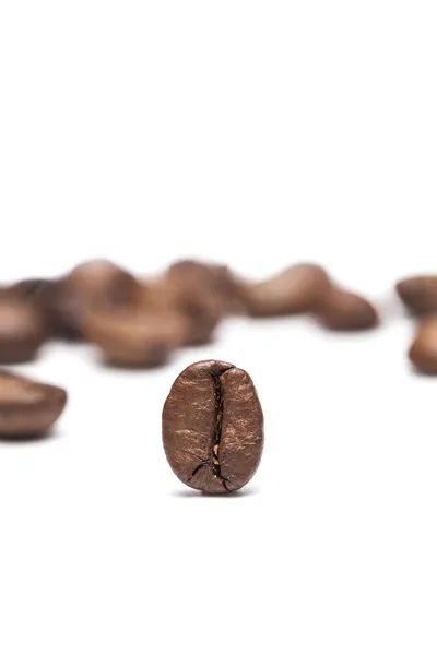 Coffee beans — Stock Photo, Image