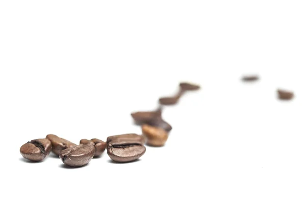 Coffee beans — Stock Photo, Image