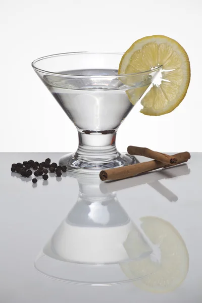 Tonico aromatico al gin con bastoncini di cannella — Foto Stock