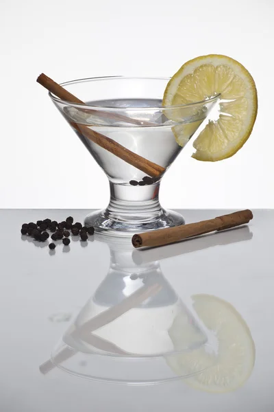 Ароматичний джин-тонік з паличками кориці — стокове фото