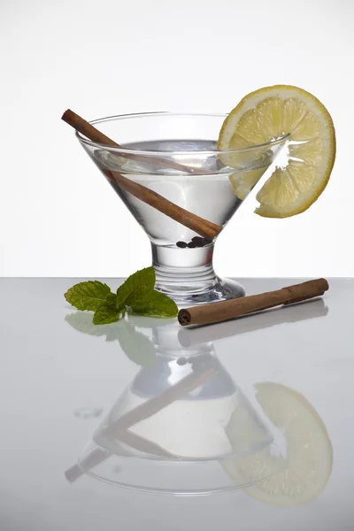 Aromatische gin tonic met kaneel stokken — Stockfoto