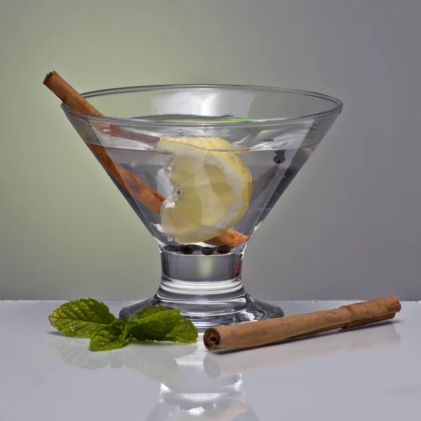 Aromatiska gin tonic med kanel pinnar — Stockfoto