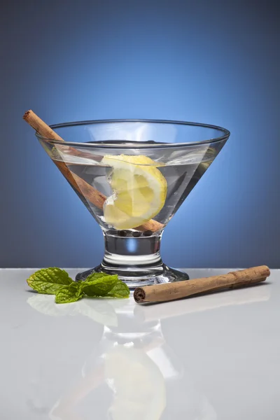 Aromatische gin tonic met kaneel stokken — Stockfoto