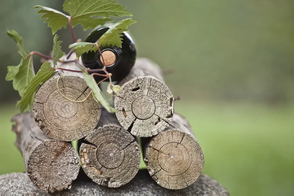 doğa arka plan üzerinde şarap şişe