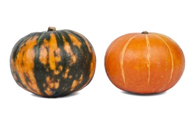 iki balkabağı beyaz