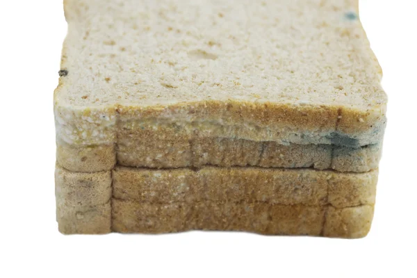 Pan de trigo integral podrido con moho verde — Foto de Stock