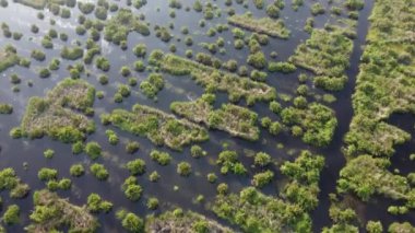 Hava manzaralı bataklık Batu Kawan, Penang gün batımında sular altında.