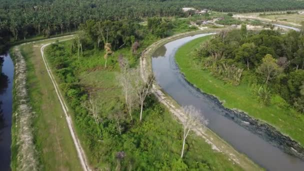 Αεροφωτογραφία Αγροτική Της Φυτείας Μικρό Χωριό Μαλαισία — Αρχείο Βίντεο