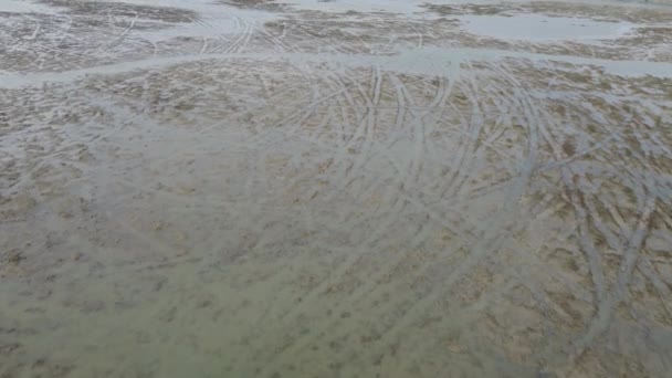 Olhar Para Baixo Terra Lamacenta Perto Mar — Vídeo de Stock