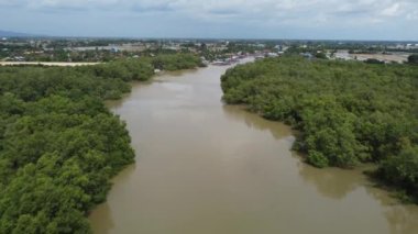 Balıkçı iskelesinin yanındaki havadan görülebilen mangrov ormanı.