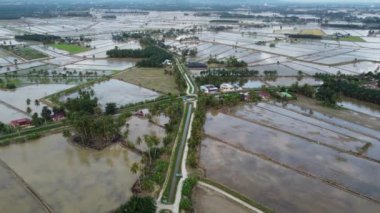 Malezya 'daki çeltik tarlasında Malezya konutlarındaki hava manzarası kavşağa bakıyor