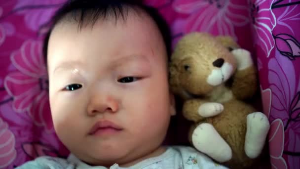 Китайский Ребенок Взволнованно Смотрит Камеру Рядом Кроликом Игрушкой — стоковое видео