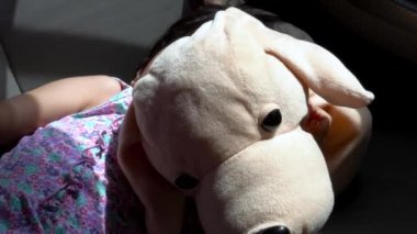 Küçük kız, yanında pelüş oyuncakla arabada uyuyor. Gün ışığını örtüyor.